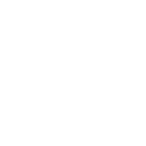 StarCCM+